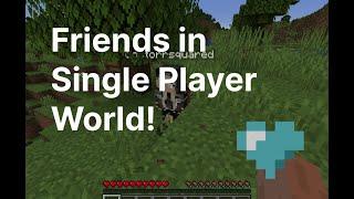 Make your Single Player Minecraft World Public Let friends join Java