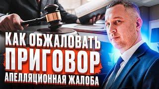 Апелляционная жалоба  Как обжаловать приговор