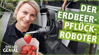 Ein Roboter als Erntehelfer  Einfach genial  MDR