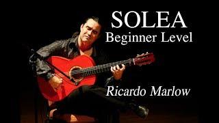 EliteGuitarist.com - Solea for Beginners Flamenco Guitar Lesson - Ricardo Marlow 17