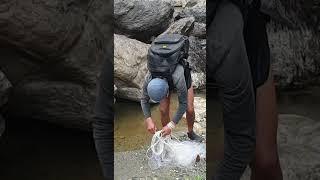 cast-net fishing  fishing video  #shorts #fishingtechniques #castnet #castnetfishing #riverfishing