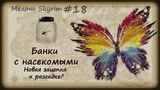 Мелочи Skyrim #18. Секретные секреты. Засекреченные тайны