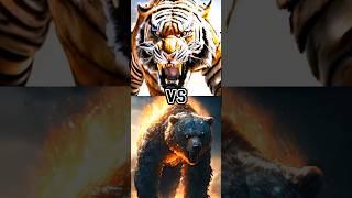 LION VS TIGER  GRIZZLY BEAR  POLAR BEAR  WHOS ANIMAL HAS THE STRONGEST SWIPE