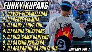 DJ FUNKY KUPANG FYP FULL ALBUM  DHANY HABA REMIX