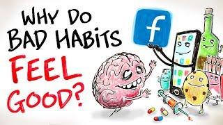 Why Do Bad Habits Feel SO GOOD?