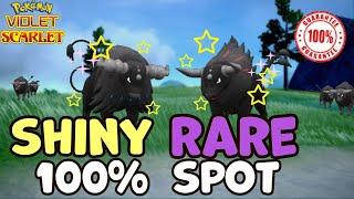 100% GURANTEED SHINY TAUROS in Pokemon Scarlet and Violet