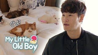 Kim Jong Kook You adopted abandoned cats My Little Old Boy Ep 118