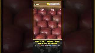 Asia’s second-largest fruit mandi in Kashmir abuzz with buyers from across India