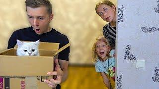 Что За КОТЯТА в КОРОБКЕ у ПАПЫ? Милана и МАМА не ЗНАЮТ об ЭТОМ Скетчи от Family Box