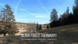 Hochschwarzwälder Hirtenpfad  Back Forest Germany  4K