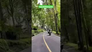 Pemandangan Hijau Menyejukkan Mata #walkingvideo #shorts #motovlog