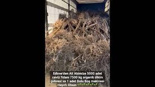 Edirneye 5000 adet ceviz fidanı 7500 kg dikim gübresi ve 1 adet Dolu Boş makinesi Hayırlı Olsun