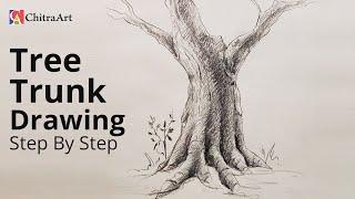 How To Draw Tree Trunk Step By Step with Pencil Shading Drawing for Beginners