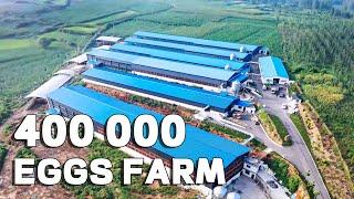 400000 Eggs Farm With 2 Egg Rooms Project In China