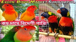 Bird Market Shrirampur  Serampore Pakhir Hat  Exotic Birds Price Update  Bird Pet Market