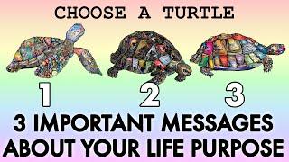 ️ 3 IMPORTANT MESSAGES ABOUT YOUR LIFE PURPOSE FOR RIGHT NOW  TIMELESS #pickacard #tarotreading