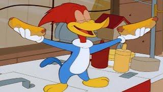 Woody Woodpecker  Woodys Hot Dog Cart  + More Full Episodes