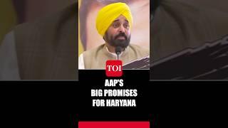 Colour-Coded Stamps... Punjab CM Bhagwant Mann Outlines AAPs Post-Poll Plans In Haryana