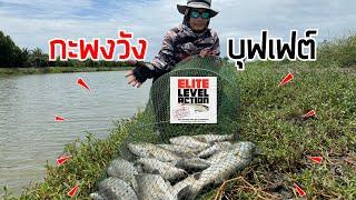 ตกปลากะพงวังบุฟเฟ่ต์ RAPALA SKITTER POP ELITE 95