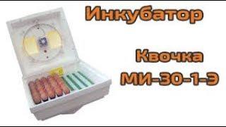 КВОЧКА МИ-30-1-Э.ОБЗОР.ОТЗЫВ ВСЕ ЗА И ПРОТИВ. ЛУЧШИЙ ИНКУБАТОР КОТОРЫЙ ВАМ НУЖЕН 4 квітня 2020 р.