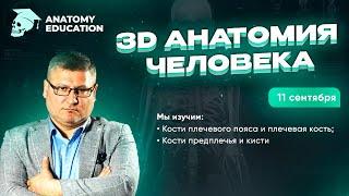 3D Анатомия для студентов. Кости плечевого пояса и плечевая кость. Кости предплечья и кисти