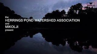 Two Minutes in Great and Little Herring Ponds Plymouth MA