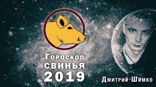 Гороскоп Кабан -2019. Астротиполог Нумеролог - Дмитрий Шимко