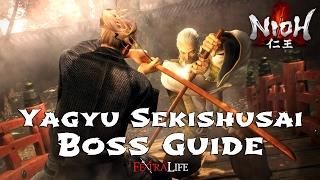 Yagyu Sekishusai Boss Fight  Nioh