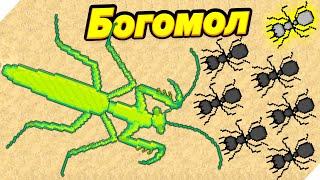 ПРИВЕТ БОГОМОЛ - Pocket Ants Симулятор Колонии