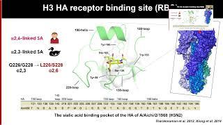 One Health and the potential of H5N1 jumping from Birds to Humans - Dr. Daniel Perez