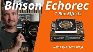 T Rex Effects  Binson Echorec   Demo by Martin Klaja