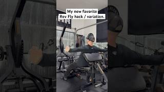 Rev Fly Hack  Variation #powertec #levergym #homegym #garagegym