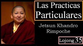 35-Las Practicas Particulares-Jetsun Khandro Rinpoche-35 Lojong