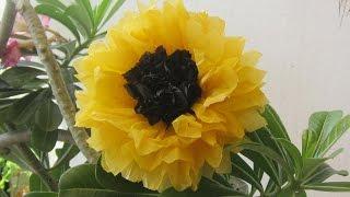 recycle plastic bags- sunflower