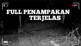 FULL PENAMPAKAN TERJELASDAN SUARA² DI LUAR NALARCCTV KUBURAN