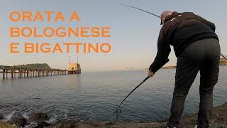 #PESCA BOLOGNESEORATA A BIGATTINO