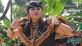 Celeng Cantik Jaranan New Sabdo Manggolo Terbaru Live Jantok Purwoasri Kediri