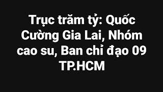 Trục trăm tỷ Quốc Cường Gia Lai nhóm Cao su Ban chỉ đạo 09 TP.HCM