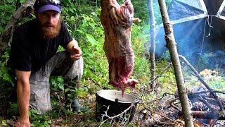 WILD BEAVER Trap Eat Cook in the FOREST Start-to-Finish