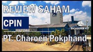 REVIEW SAHAM CPIN - CHAROEN POKPHAND #37