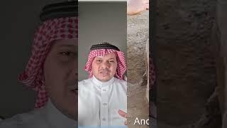 أدلة كثيرة تثبت أن الفراعنة لم يقوموا ببناء الأهرامات ولم يصنعوا هذه التماثيل والقطع الأثرية