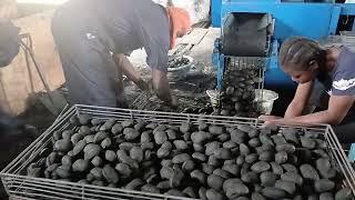 Coconut Charcoal in Ghana #Adepa Charcoal Briquettes #trending #wodemaya