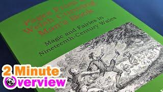 Magic and Fairies in 19th Century Wales Pages from a Welsh Cunning Mans Book 2 Minute Overview