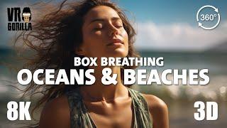 VR Relax short - Box Breathing Exercise 4-4-6-2 Beaches Cliffs & Ocean - 8K 3D 360 VR