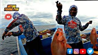 Teknik mancing kakap merah di laut saat arus derashasil melimpah ruah