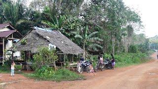 Jalan masih tanah Suasana tenang dan damai di kampung Dayak desa