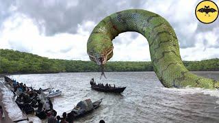 Es Por Esto que Nunca Debes Ir en Canoa Por Un Río Africano