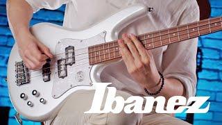 Do you need more? Ibanez SRMD200D-PW 4-string bass  Metal  Tone Test