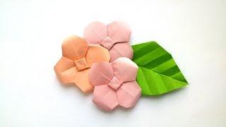 How to make Origami Hydrangea - Origami Flowers