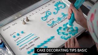 Ultimate Cake Decorating Piping Tips Buying Guide  Cake Decorating For Beginners 